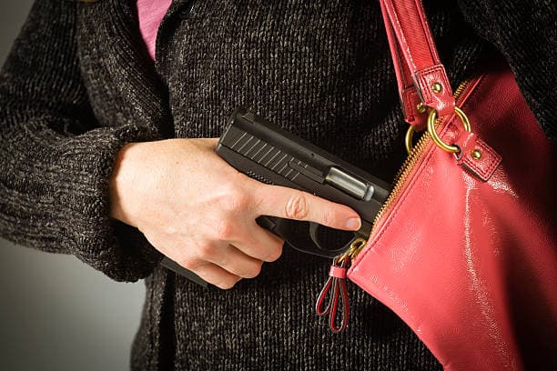 Concealed Carry Permit Course